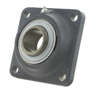 INA RCJ25-N Flange Block Bearings