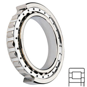 NSK NUP2214W Cylindrical Roller Bearings