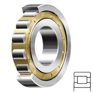 NSK NF306M Cylindrical Roller Bearings