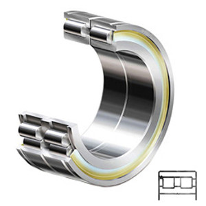 INA SL184916 Cylindrical Roller Bearings