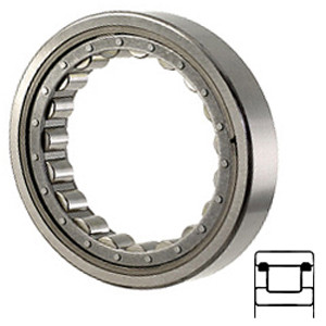 NTN M1206TV Cylindrical Roller Bearings