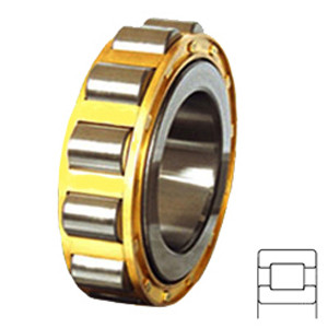 NTN MUB1934J Cylindrical Roller Bearings