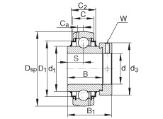 Bearing G1010-KRR-B-AS2/V INA