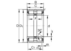 Bearing SL045036-PP INA