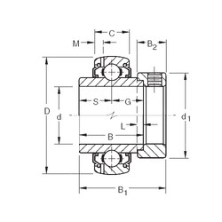 Bearing G1205KLLB Timken