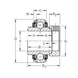 Bearing GN215KLLB Timken