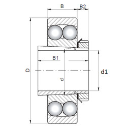 Bearing 2321K+H2321 CX