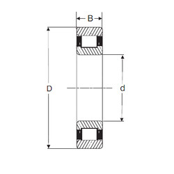 Bearing RXLS 1.3/4 SIGMA