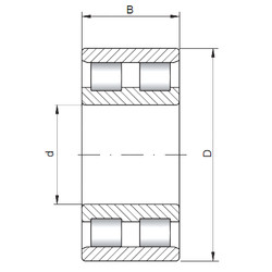 Bearing NN3122 ISO