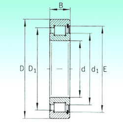 Bearing SL183060 NBS