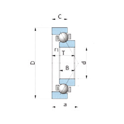 Bearing SF0649PX1 NTN