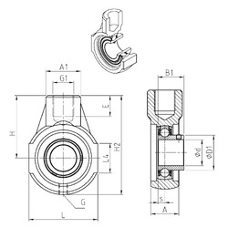 Bearing USEHE206 SNR