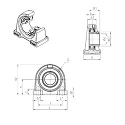 Bearing USPAE207 SNR