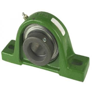 INA RASE1-1/8 Pillow Block Bearings