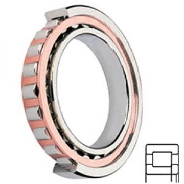 FAG BEARING NUP2306-E-TVP2 Cylindrical Roller Bearings