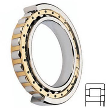 FAG BEARING NUP2322-E-M1-C3 Cylindrical Roller Bearings