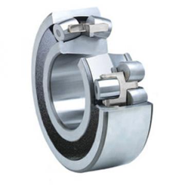 SKF BS2-2215-2CSK Spherical Roller Bearings