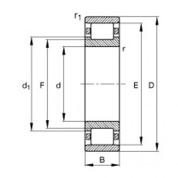 Bearing N306-E-TVP2 FAG