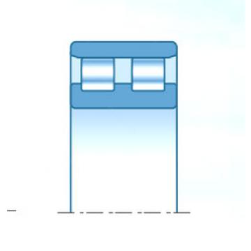 Bearing NN3064C1NAP4 NTN