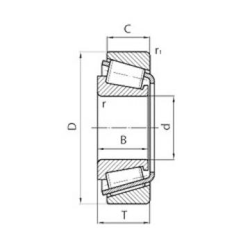 Bearing NP014119/NP419902 Timken