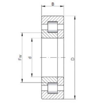 Bearing NUP203 E CX