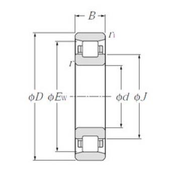 Bearing N344 NTN