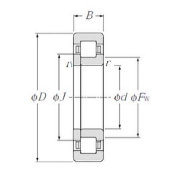 Bearing NUP203 CYSD