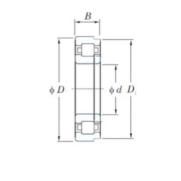 Bearing NUP209R KOYO