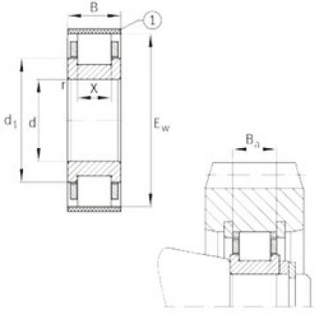 Bearing RN310-E-MPBX FAG