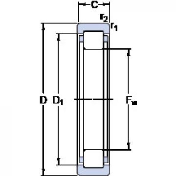 Bearing RNU 202 ECP SKF