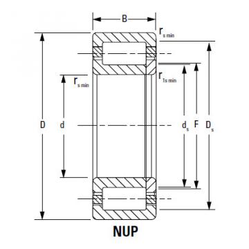 Bearing NJ2226EMA