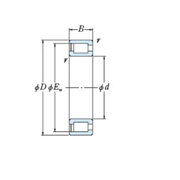 Bearing NCF1856V