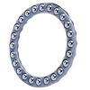 INA 06J01 Thrust Ball Bearing