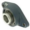 SKF FYTB 20 WF Flange Block Bearings #1 small image