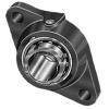 INA RCJTA25-N Flange Block Bearings