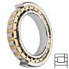TIMKEN NP51/648M Cylindrical Roller Bearings #1 small image