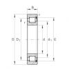 Bearing SL1818/560-E-TB INA