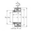 Bearing 23232-E1A-K-M + H2332 FAG