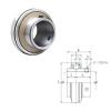 Bearing UCX10-31 FYH