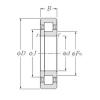 Bearing NUP204E CYSD