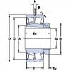 Bearing BS2-2226-2CS5K/VT143 + H 2326 L SKF #1 small image