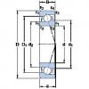 Bearing 7005 CE/HCP4A SKF #1 small image