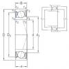 Bearing VEB 100 /S/NS 7CE1 SNFA