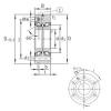 Bearing ZKLF3590-2RS-PE INA