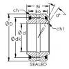 Bearing GEZ101ES-2RS AST #1 small image