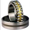 Bearing NNU40/530MAW33 NNU49/670MAW33 #1 small image