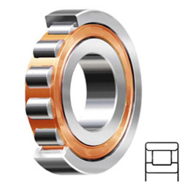 FAG BEARING N313-E-TVP2-C3 Cylindrical Roller Bearings #1 image