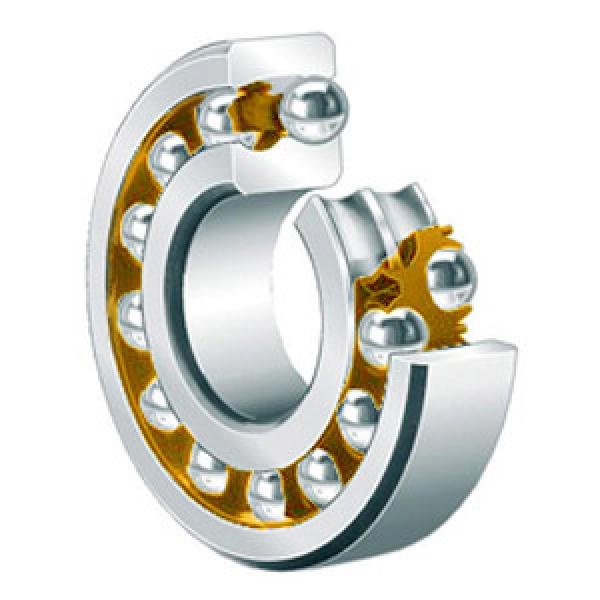 FAG BEARING 1219-M Self Aligning Ball Bearings #1 image