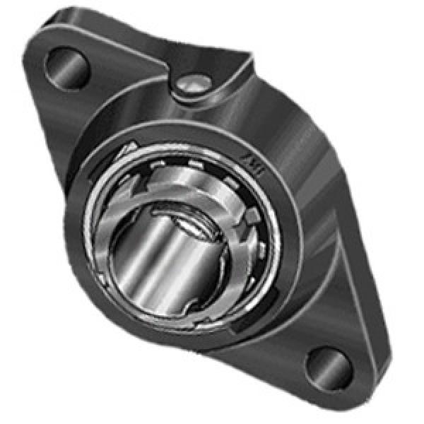 INA RCJTA25-N Flange Block Bearings #1 image