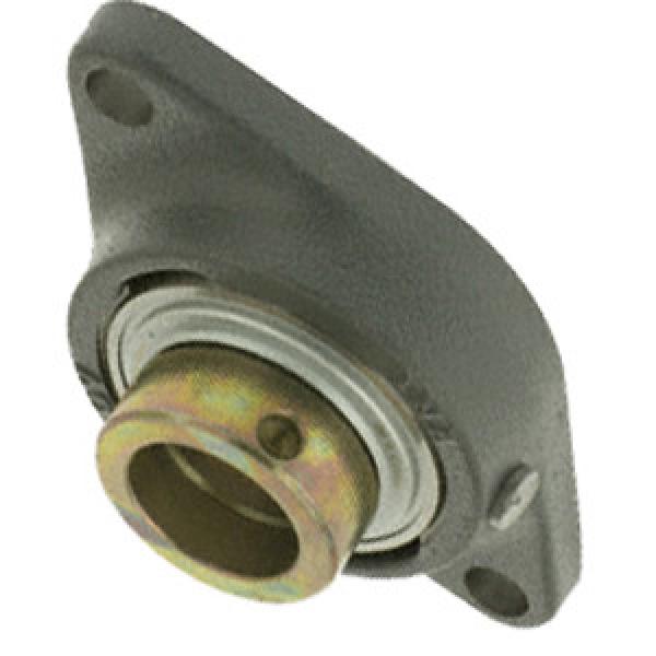 INA RCJT50-N Flange Block Bearings #1 image